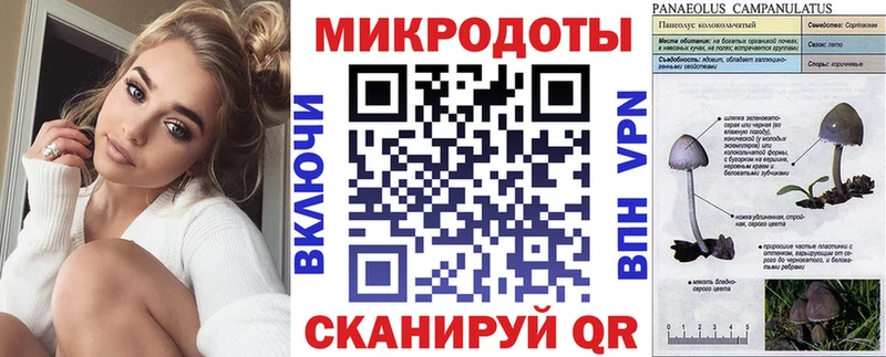 Псилоцибиновые грибы MAGIC MUSHROOMS blacksprut ССЫЛКА Суджа