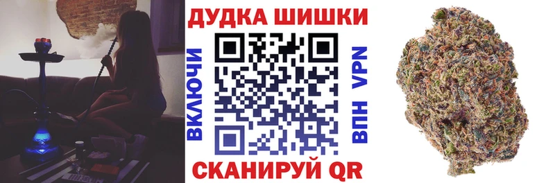 как найти наркотики  Суджа  МЕГА tor  Бошки Шишки планчик 